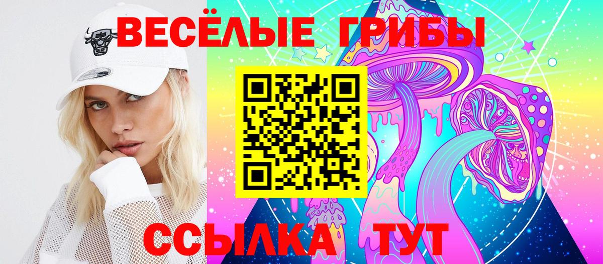 Тамбов  Галлюциногенные грибы Magic Shrooms  Вход с VPN 