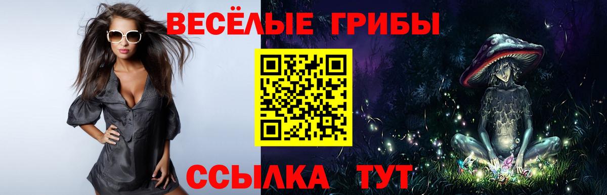 Псилоцибиновые грибы GOLDEN TEACHER Тамбов